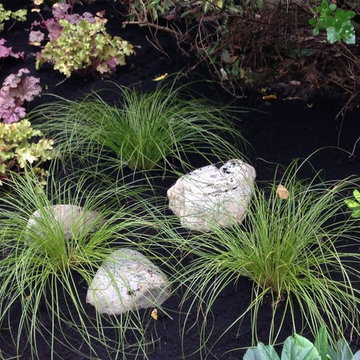 Shade Garden, Harpenden