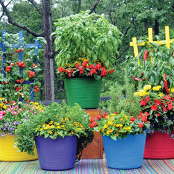 Large Trug Tubs in Brilliant Colors - Gardening Tools