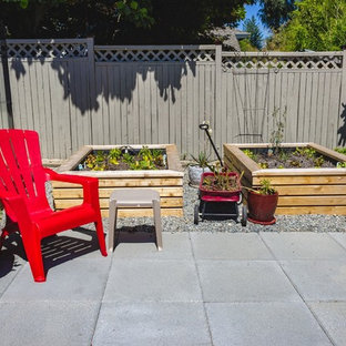 シアトルの中サイズのトランジショナルスタイルのおしゃれな裏庭のテラス (家庭菜園、コンクリート敷き	、日よけなし) の写真