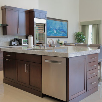 Large Contemporary Pinecrest Kitchen with Sub-Zero/Wolf Appliances