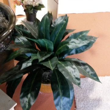 In store pre-designed Arrangements