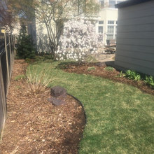 Native Garden