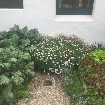 Organic Edible Gardens