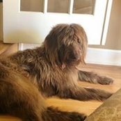 Dana Grubesic's photo