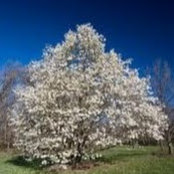 Pam Jones's photo