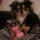 jason_chen56