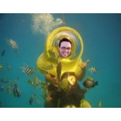 Josh Duffield's photo