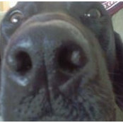 Jason Babich's photo