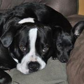 Brawna Hughes Sell's photo