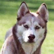 Nancy Englerth's photo