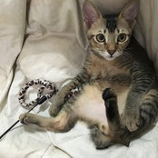 Fuzz Melvin's photo