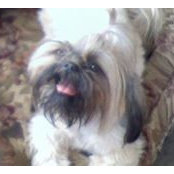 Tracy Kehn's photo