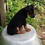Jacky Lembert's photo