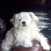 Rita Garrison's photo