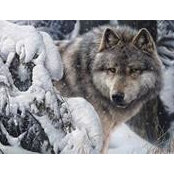 Rebecca Bietz's photo