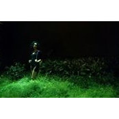 Heidi Hernandez's photo