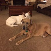 Angie Sandquist's photo