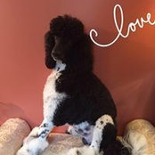 Vicki Smith's photo