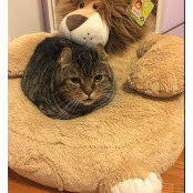 Vicki Cheung's photo