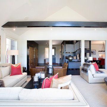 Contemporary Full Home Design in Raspberry Patch, CO