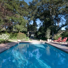 Pools and Landscape