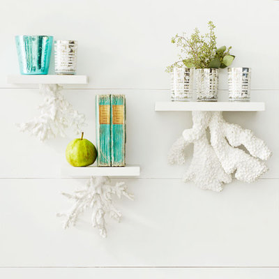 Tropical Display And Wall Shelves  by Wisteria