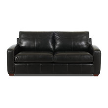 sleeper sofa/daybed