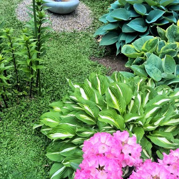 Garden with plants and mosaik, Garten mit Pflanzung und Mosaik