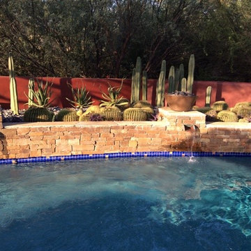 Lightstreams Royal Blue Waterline Tile & Peacock BBQ