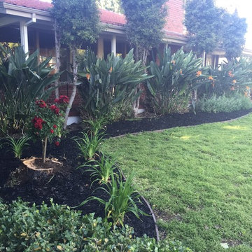 Drought Tolerant Landscapes