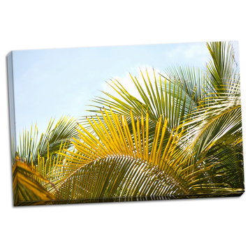 Fine Art Photograph, Palms at Noon, Hand-Stretched Canvas