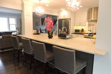 Inspiration for a large transitional single-wall porcelain tile kitchen remodel in New York with a farmhouse sink, shaker cabinets, black cabinets, quartzite countertops, stainless steel appliances and an island