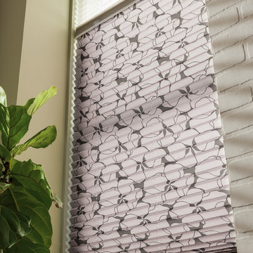 Blinds & Shades