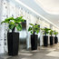 Cubico Alto Self Watering Planter, 105x40x40 CM, Black