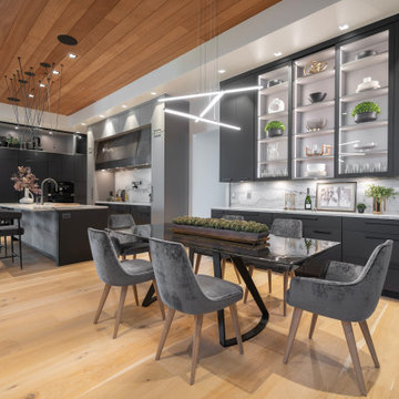 Modern Kitchen Design and Build New Construction