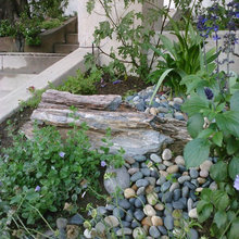 Side Yard/septic