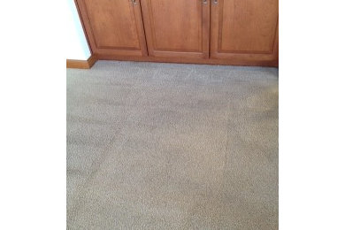 Before & After Carpet Cleaning in Bellevue, WA