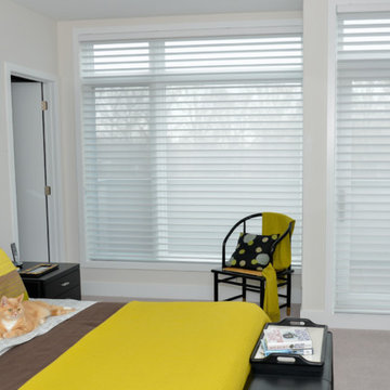 Silhouette Window Shadings