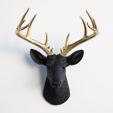 wall sculpture