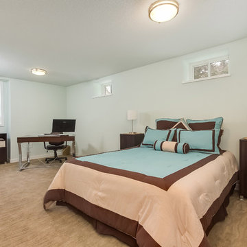 Basement Bedroom
