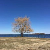 Lorraine Lu's photo
