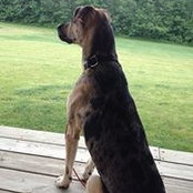 Joshua Wells's photo
