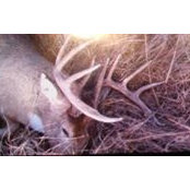 Darren Daignault's photo