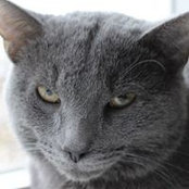 Pam Powell's photo