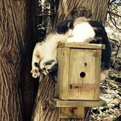 Sandi Hurcomb's photo