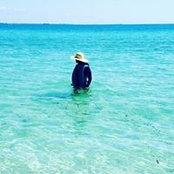 JoAnna Hamadeh's photo