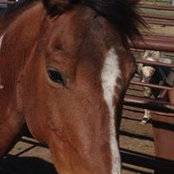 Amy Nordhoff's photo