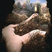 Michele Civetta's photo