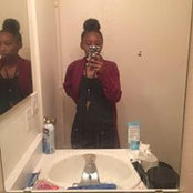 Dalmesha Slosss billede