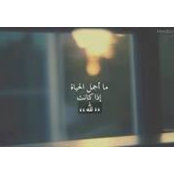 فاطمة عبادي's photo